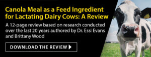 Download canola meal as a feed ingredient for lactating dairy cows: a review