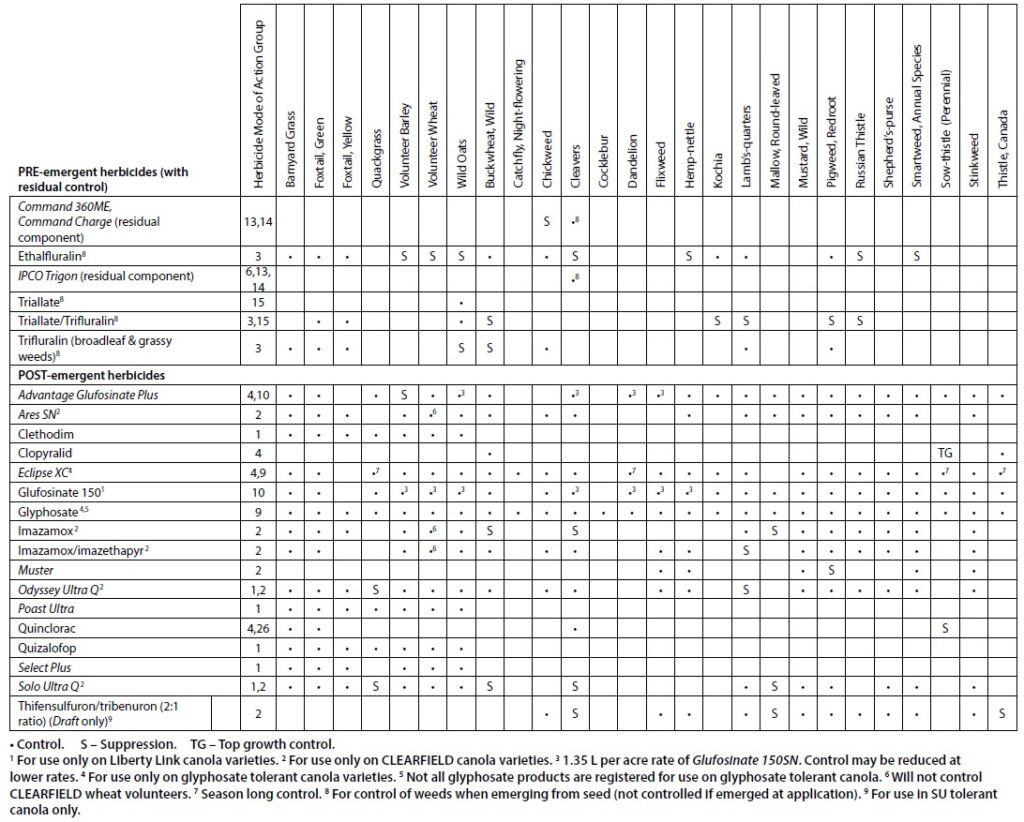 Weed Management | Canola Encyclopedia