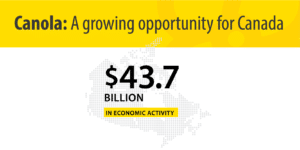 New study shows canola’s economic impact has more than doubled in the last decade, Canola Council of Canada