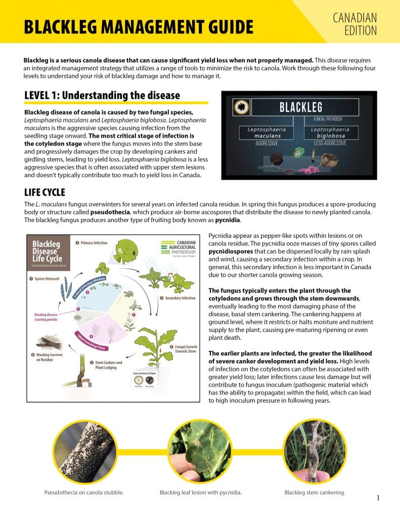 Download Free Agronomy Guides For Growing Canola In Canada