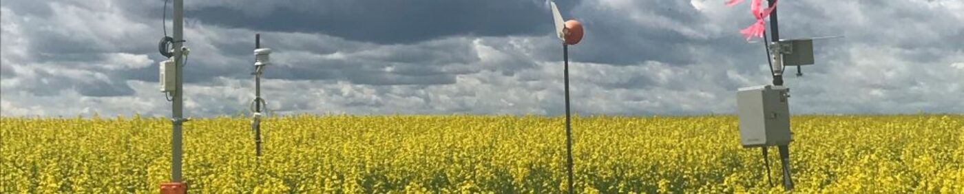 sclerotinia stem rot research