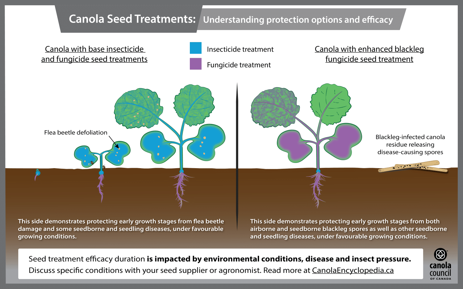 Seed Treatments | Canola Encyclopedia