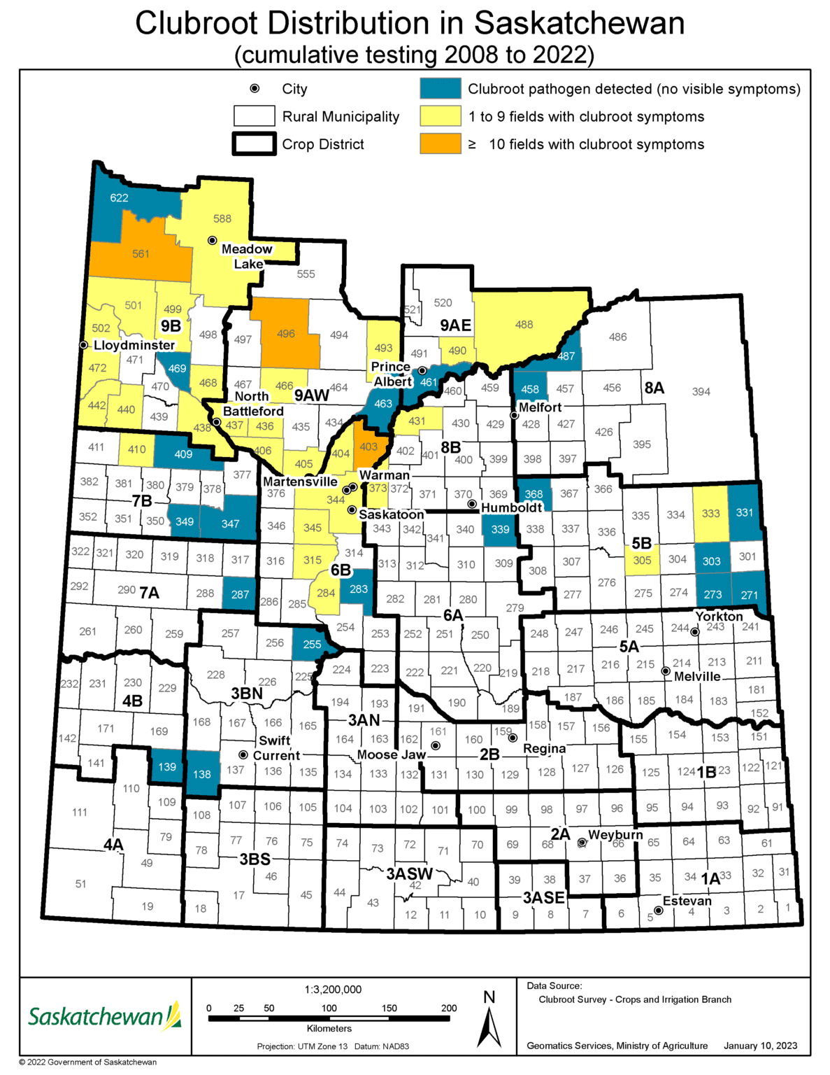 Clubroot Disease | Canola Encyclopedia