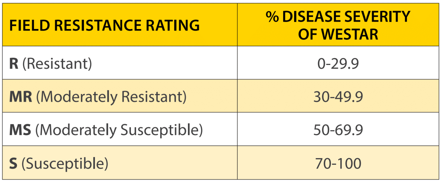 Canola Cultivar Traits | Canola Council Of Canada