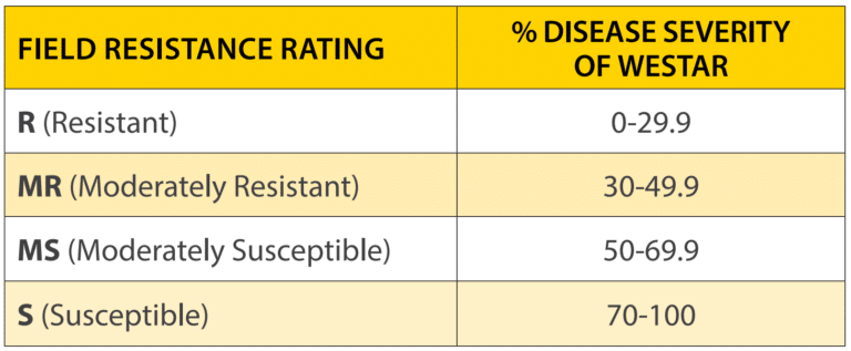 Canola Cultivar Traits | Canola Council Of Canada