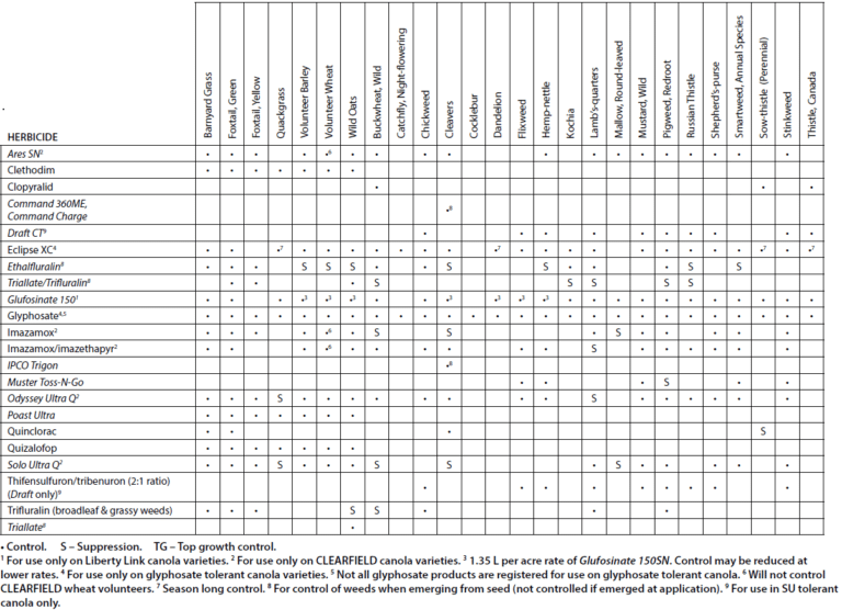 Weed Management | Canola Encyclopedia