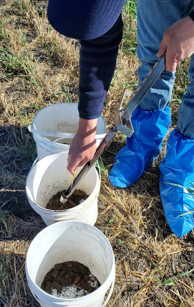 Fall soil sampling in a field