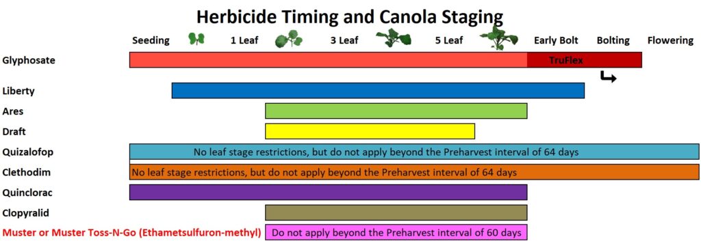 Herbicide timing options at various canola growth stages (chart)