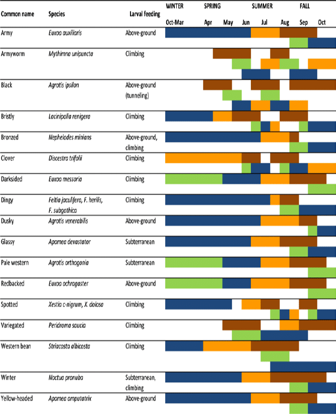 chart of approximate seasonal occurrence of lifecycle stages for different species of cutworms