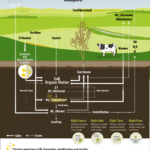 nitrogen cycle