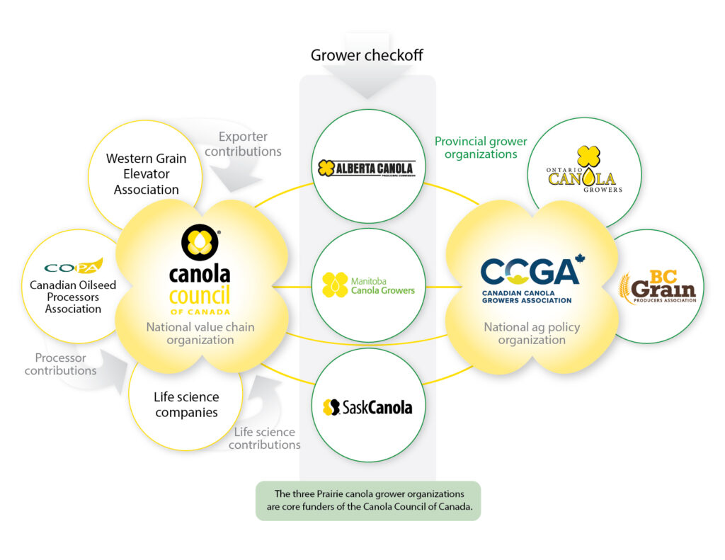 Canola Value Chain, Canola Council of Canada