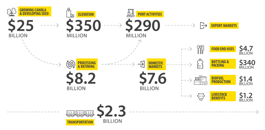 Creating economic impact at every stage – 2024 – Canola Council of Canada