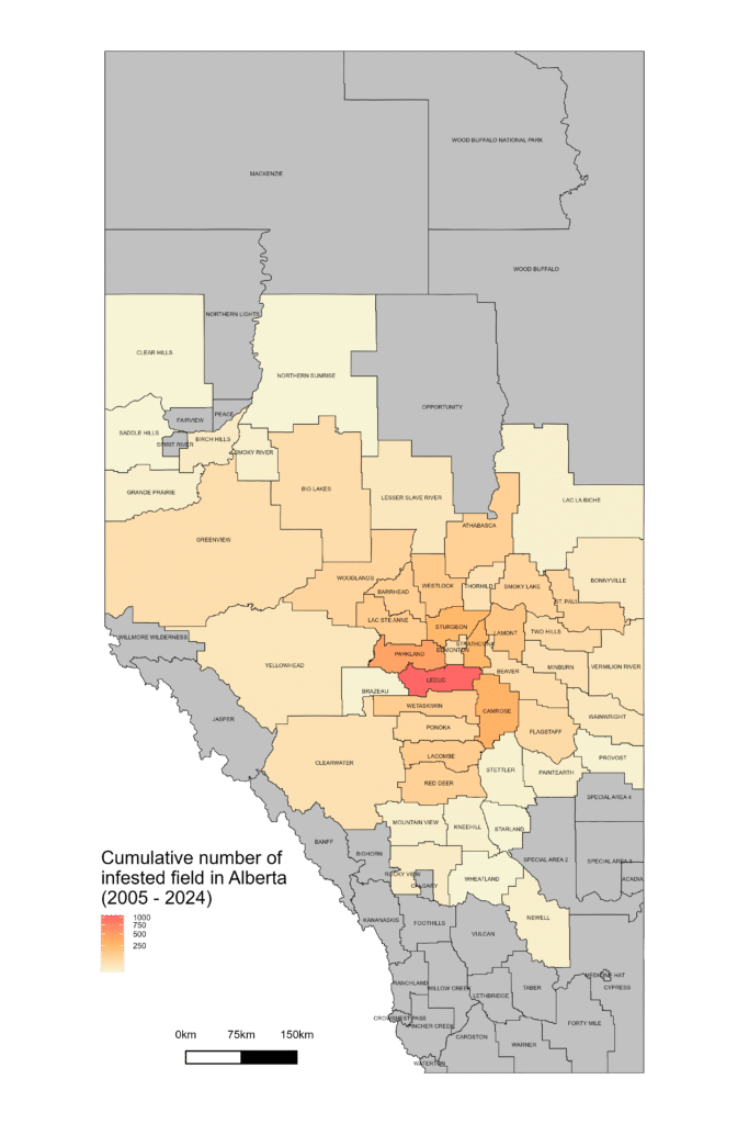 Alberta clubroot distribution map (cumulative cases 2008-2024)