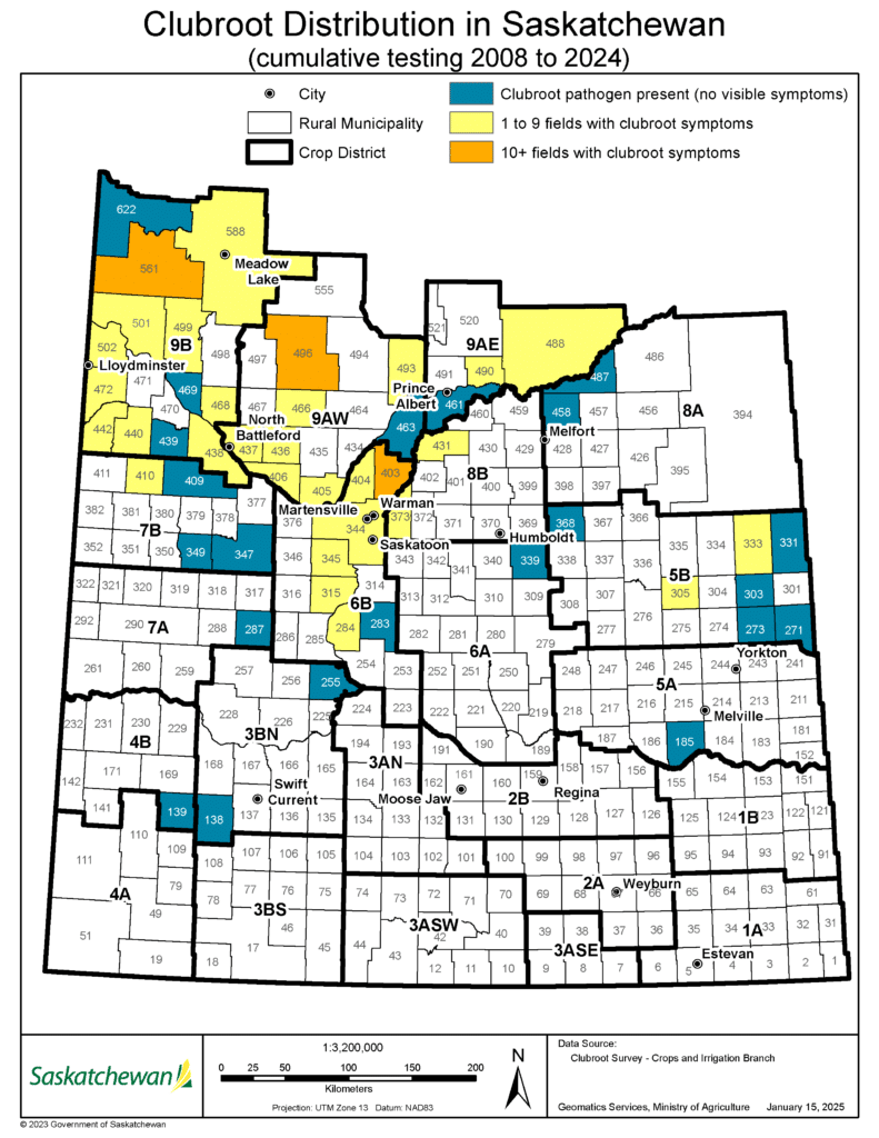 SK clubroot survey results map (2008-2024); Released Jan 2025