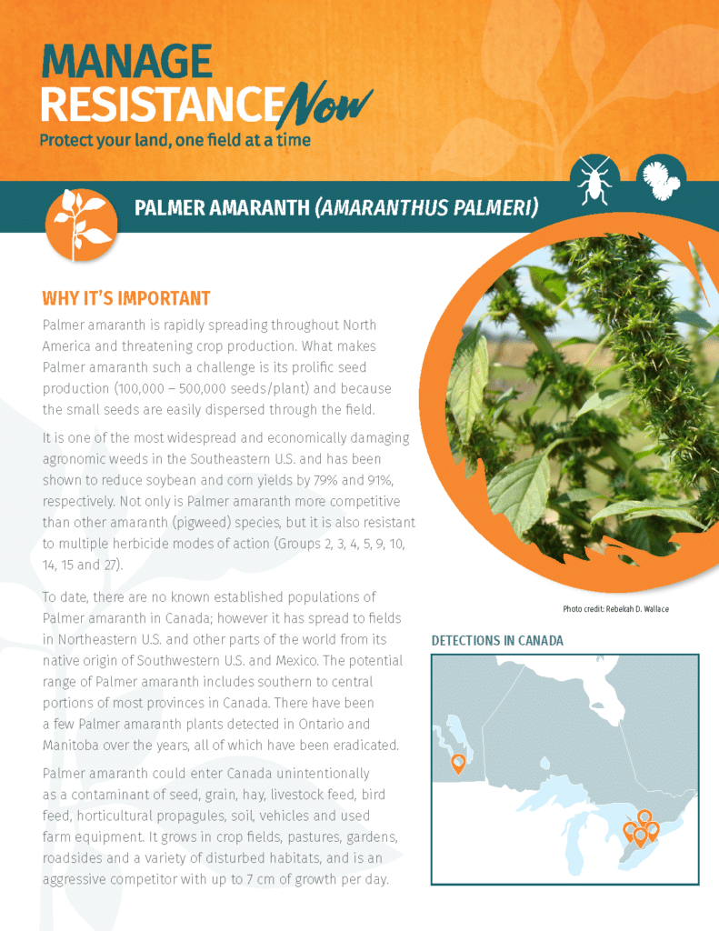 A Palmer Amaranth Factsheet from CropLife Canada's 'Manage Resistance Now' Program